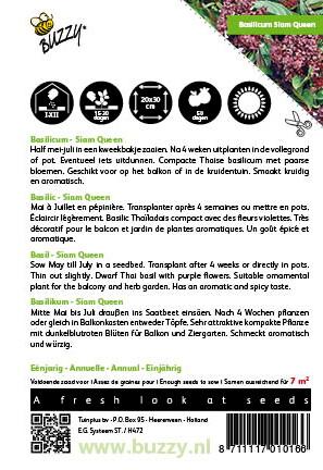 Basilicum Siam Queen - Zaden