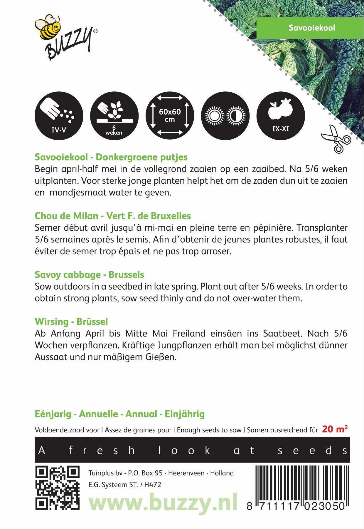 Savooiekool Donkergroene putjes - Zaden