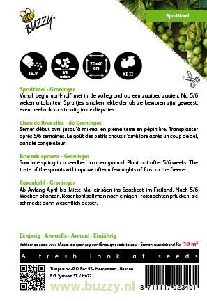 Spruitkool Groninger - Zaden