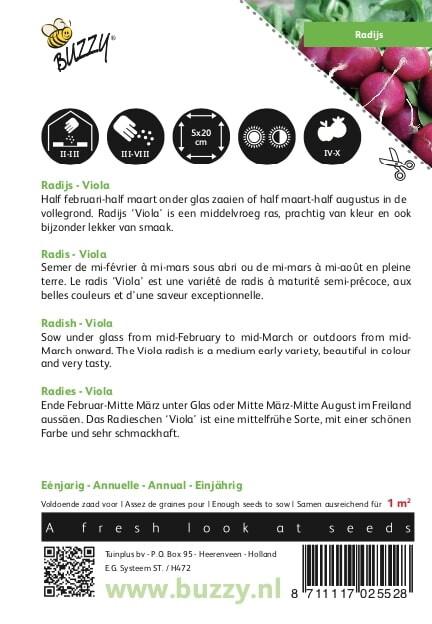 Radijs Viola - Zaden