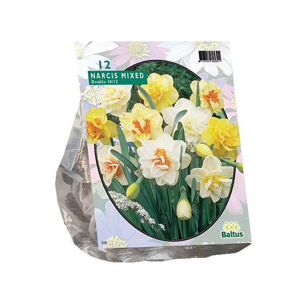 Narcis Dubbel Mix - 20 stuks - Bloembollen