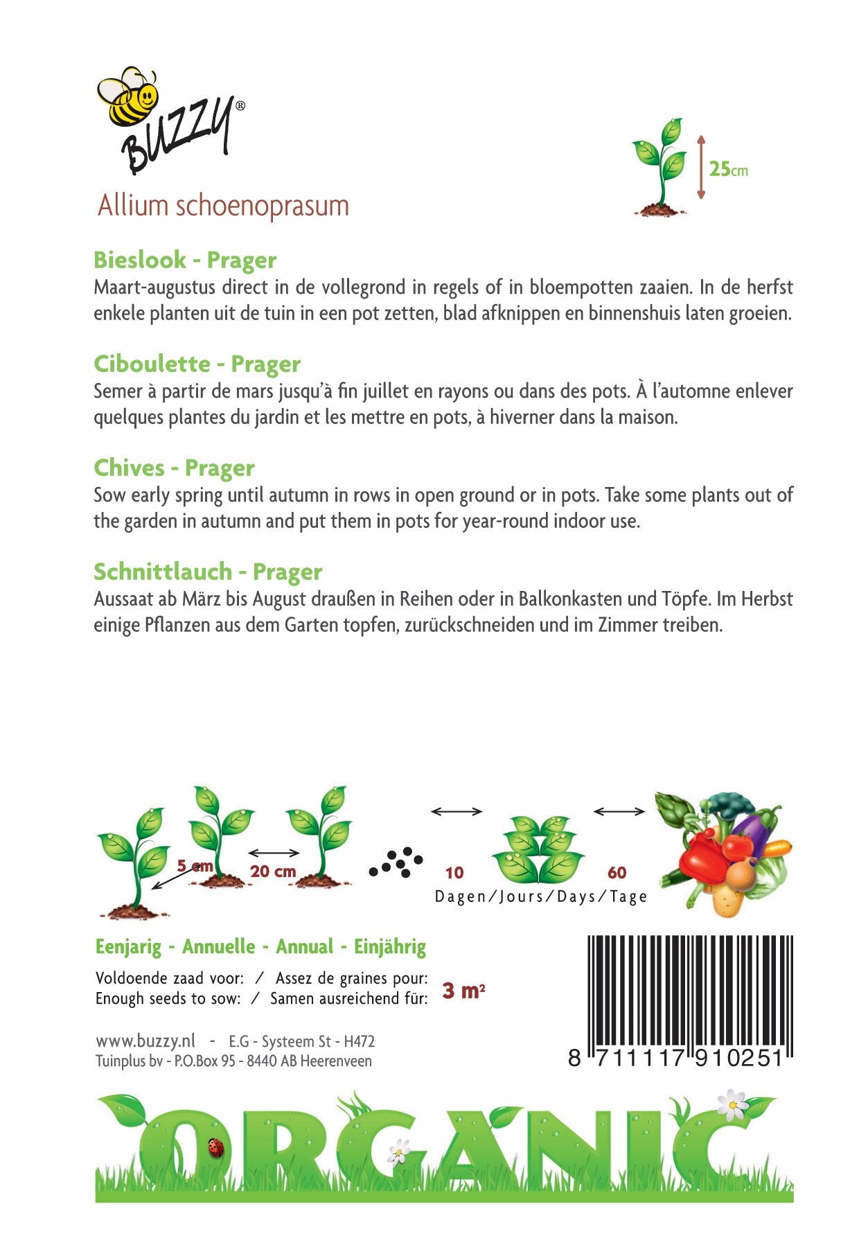 Schnittlauch Prager (BIO) - Samen