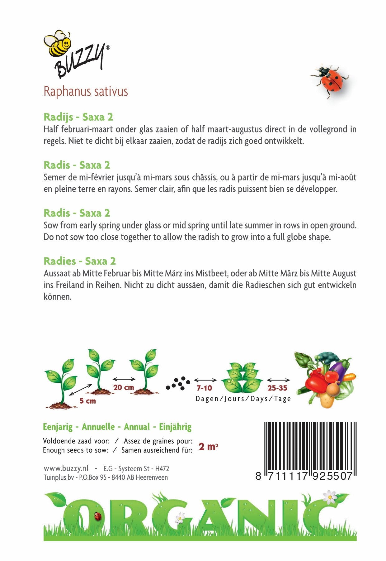 Radieschen Saxa 2 (BIO) - Samen