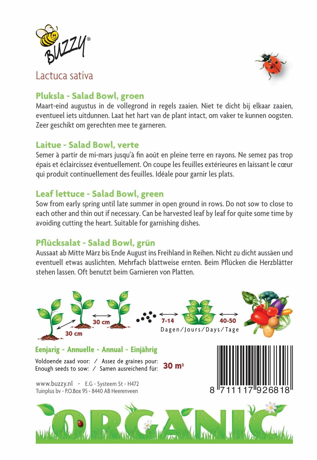 Pluksla Salatschüssel, grün (BIO) - Samen