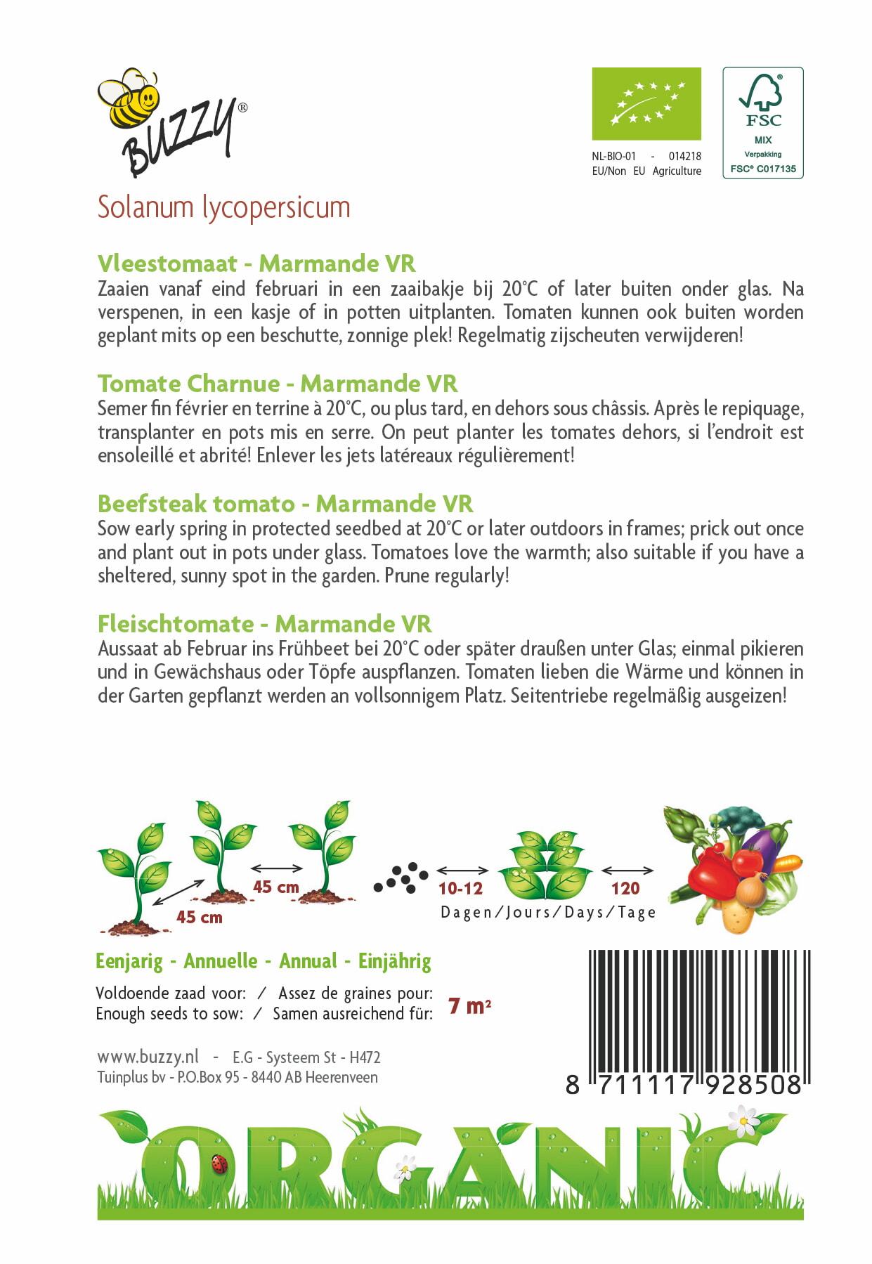 Tomaat Marmande (BIO) - Zaden