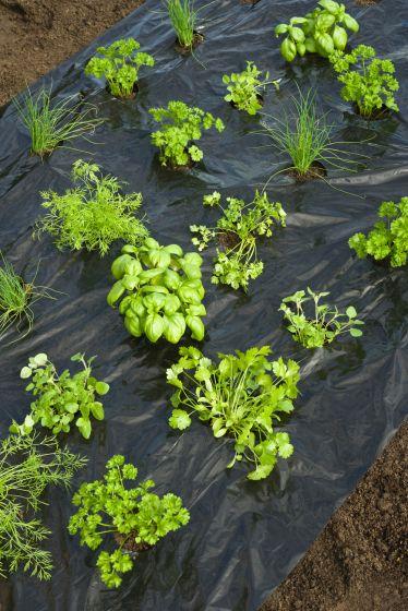 Kweekfolie voor tuinkruiden - Kweekbenodigdheden