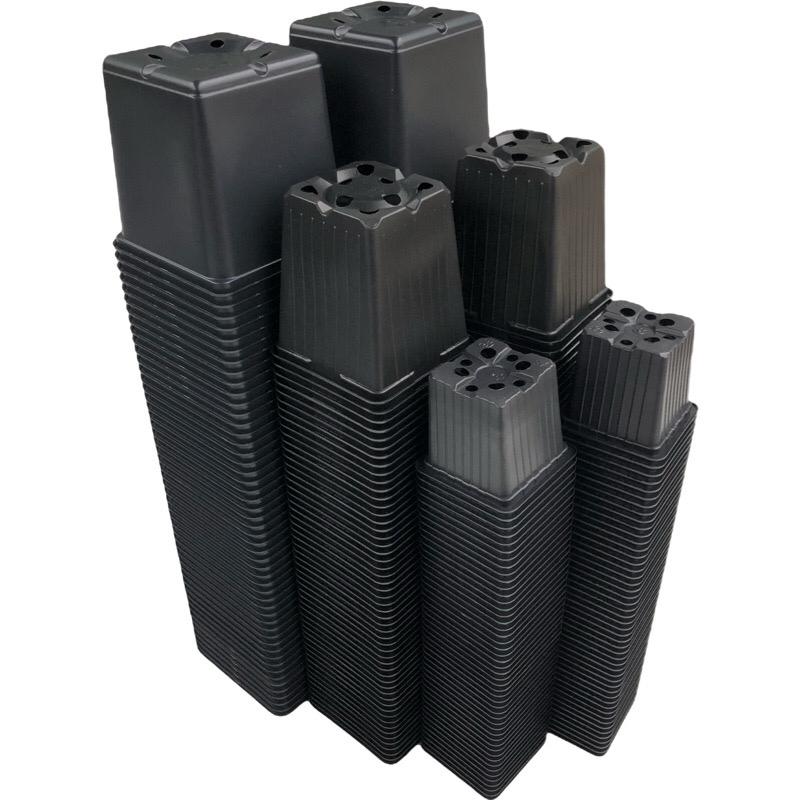 Anzuchtset groß 2 -