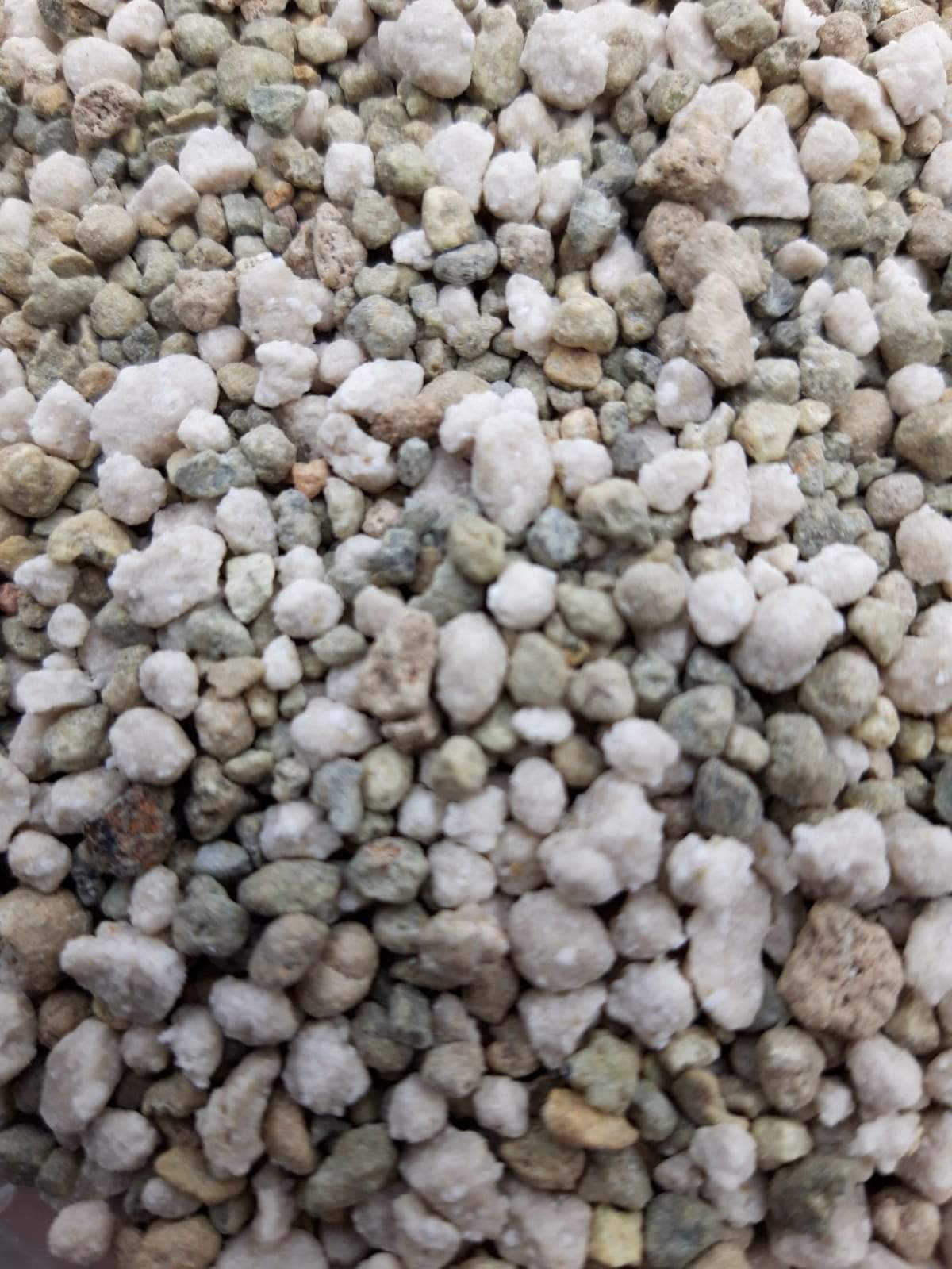 Sedum Stronger - Groendak