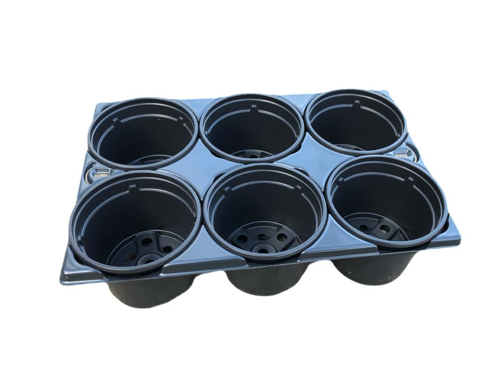 <p>Anzuchtschale mit 6 Töpfen - 9cm - Anzuchtbedarf</p>