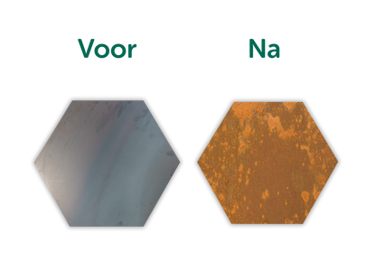 Cortenstaal staptegel 6-hoek 50x43cm - borderranden