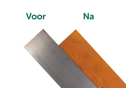 Kantopsluiting boomring - borderranden