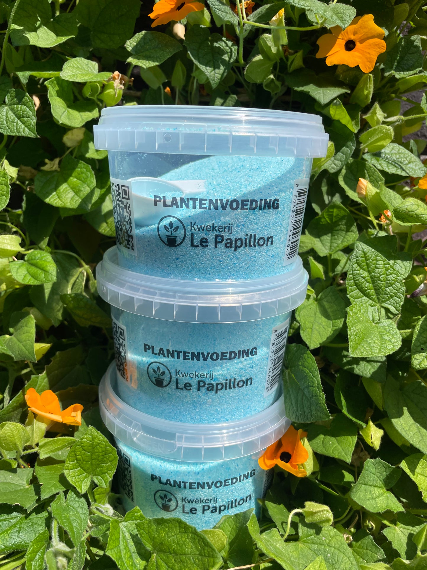 Turbo Pflanzenfutter 500g - Erde und Dünger