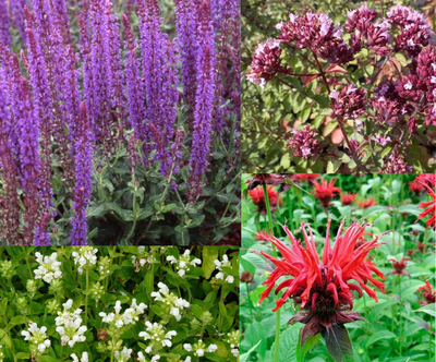 Rahmenpaket Fantasie (1,5 m2)