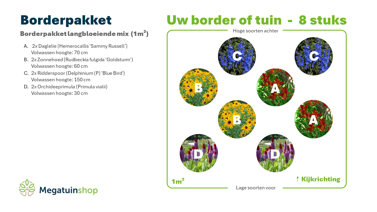 Borderpaket langblühende Mischung (1m²) - Gartenpflanzen