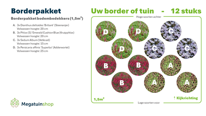 Borderpakket bodembedekkers (1,5m2) - Tuinplanten