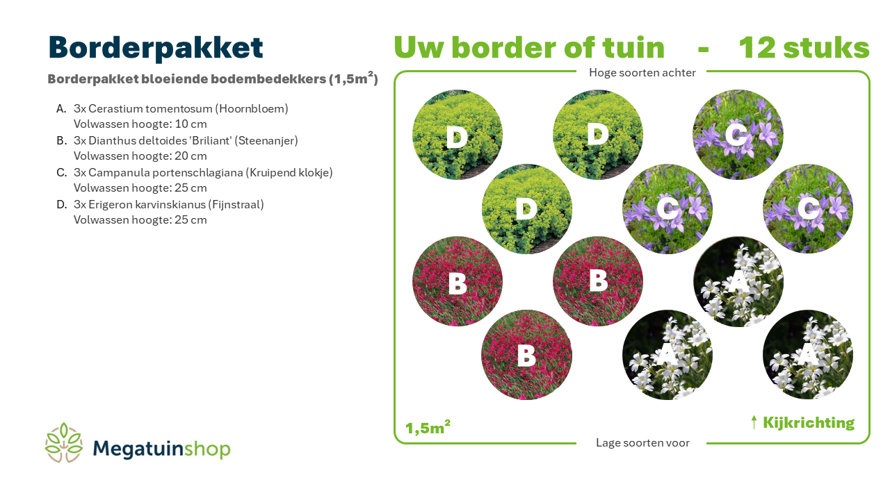 Borderpakket bloeiende bodembedekkers (1,5m2) - Tuinplanten