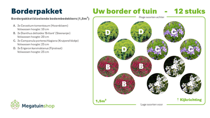 Borderpakket bloeiende bodembedekkers (1,5m2) - Tuinplanten