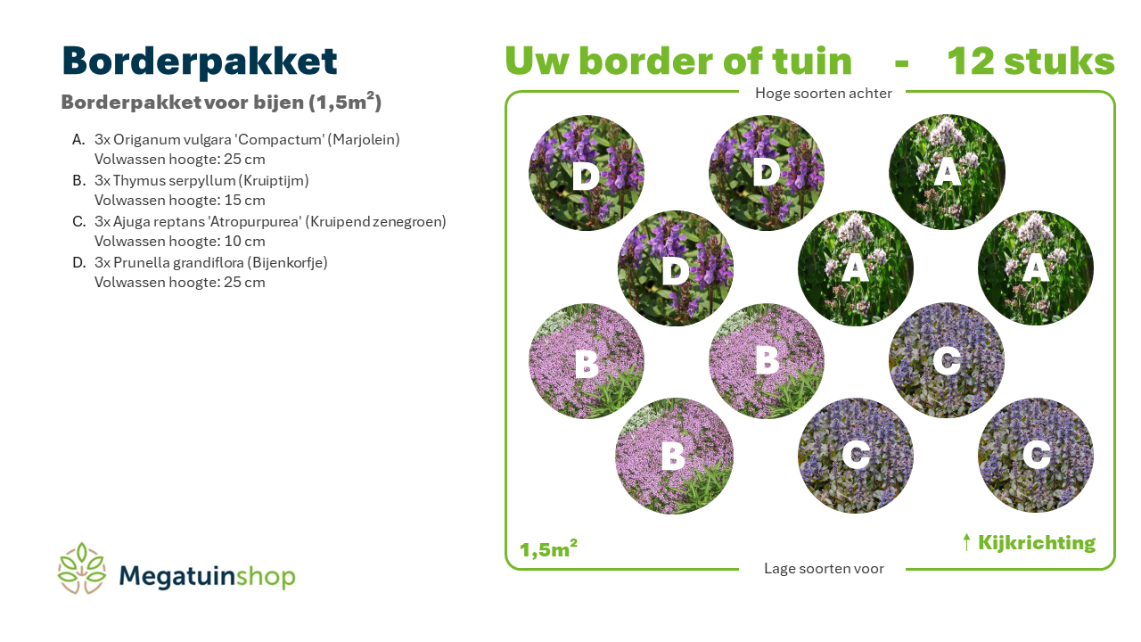 Borderpakket voor bijen (1,5m2) - Tuinplanten