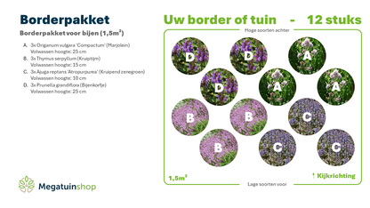 Borderpakket voor bijen (1,5m2) - Tuinplanten