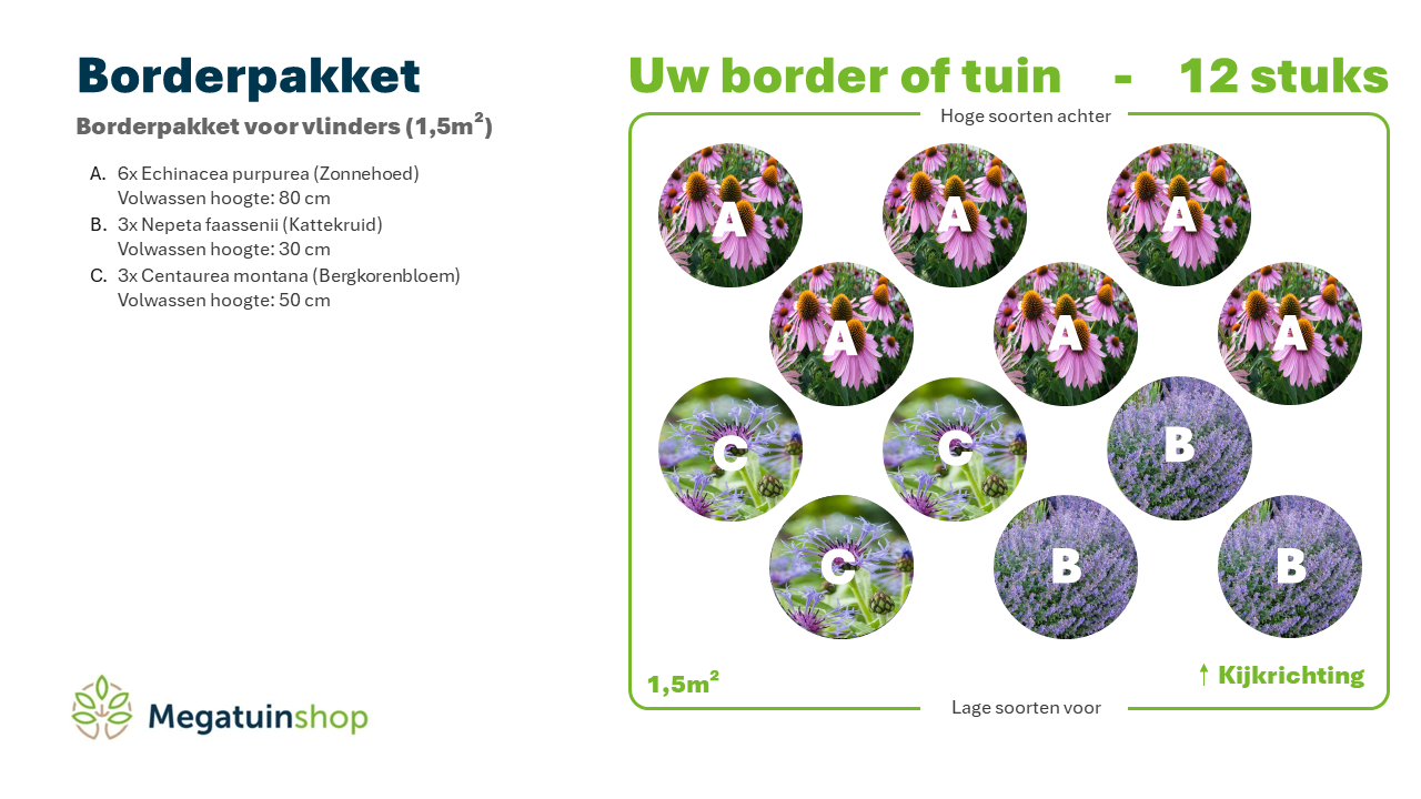 Borderpakket voor vlinders (1,5m2) - Tuinplanten