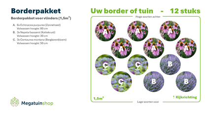 Borderpakket voor vlinders (1,5m2) - Tuinplanten