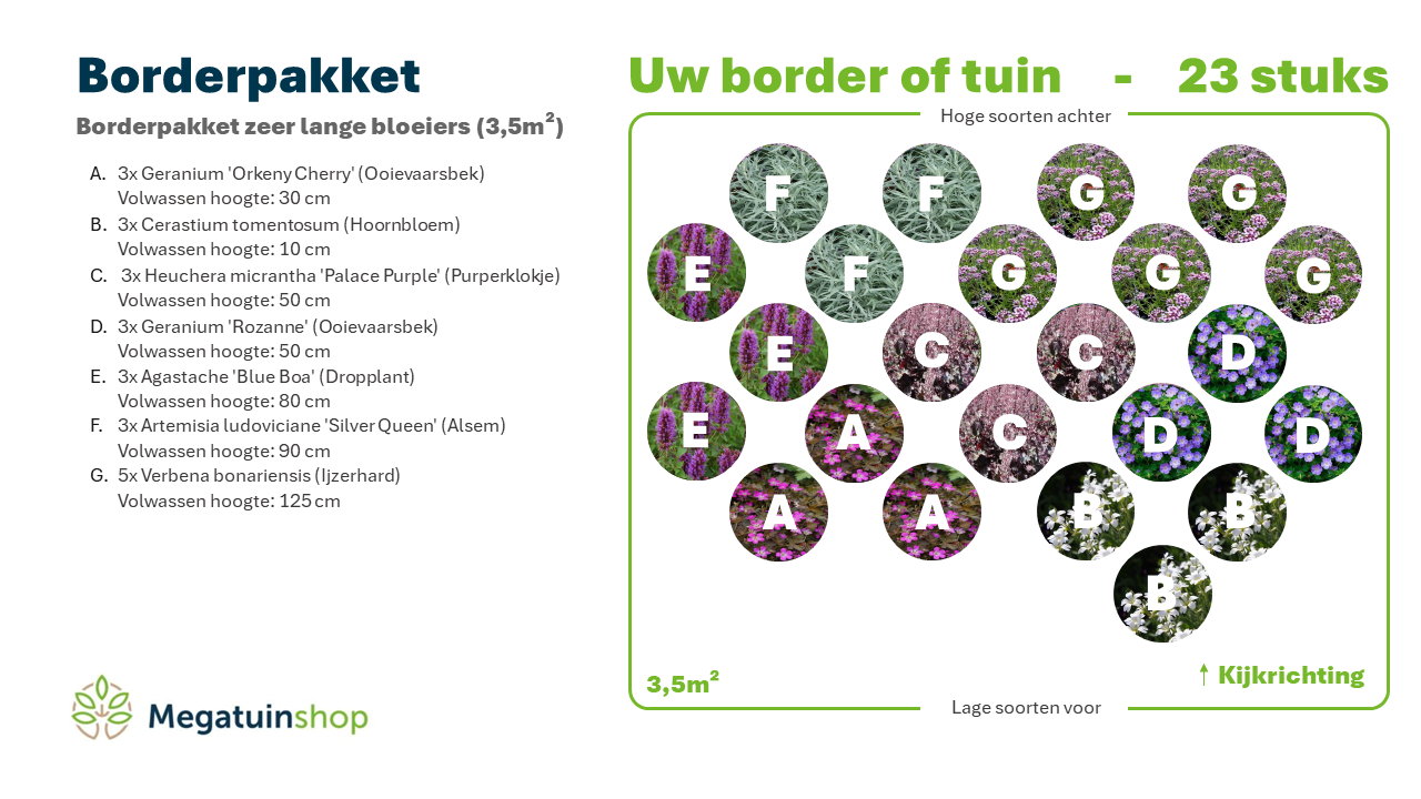 Borderpakket zeer lange bloeiers (3,5m2) - Tuinplanten