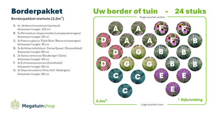 Borderpakket siertuin (3,5m2) - Tuinplanten