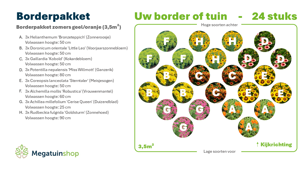 Borderpakket zomers geel/oranje (3,5m2) - Tuinplanten