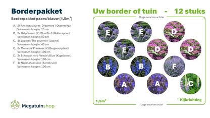 Borderpakket paars/blauw (1,5m2) - Tuinplanten