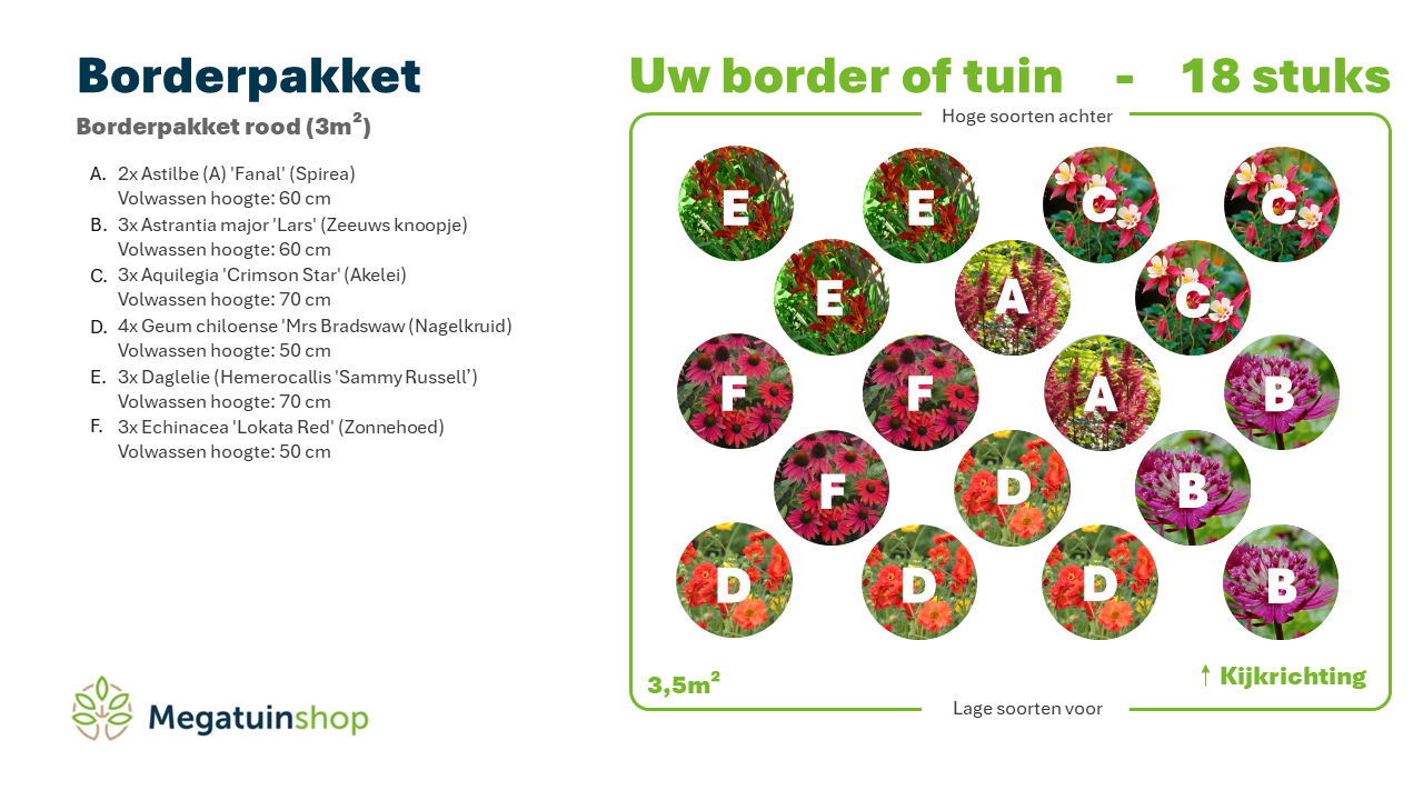 Borderpakket rood (3m2) - Tuinplanten