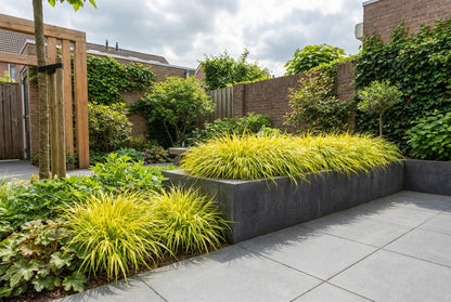 Japans berggras (Hakonechloa macra 'Allgold') - Japans berggras