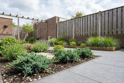 Jeneverbes (Juniperus horizontalis ‘Blue Chip’) - Coniferen