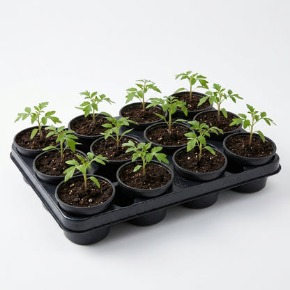 Kweektray met 12 potjes - 9 cm - Kweekbenodigdheden