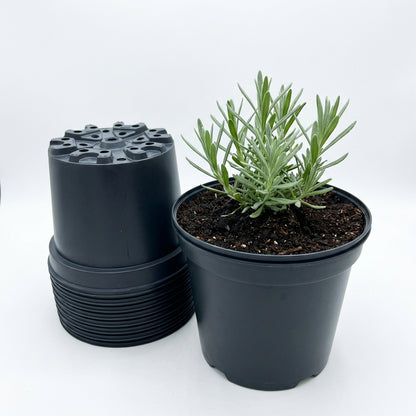 Kweekpot zwart – Ø21cm, hoogte 16cm, 4 liter - Kweekbenodigdheden