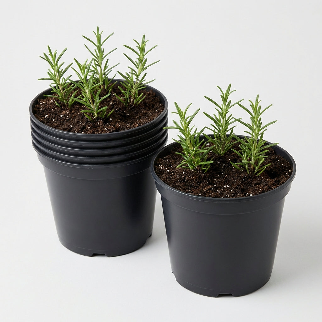 Kweekpot zwart – Ø23cm, hoogte 18cm, 5 liter - Kweekbenodigdheden