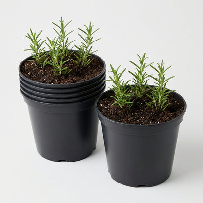 Kweekpot zwart – Ø23cm, hoogte 18cm, 5 liter - Kweekbenodigdheden