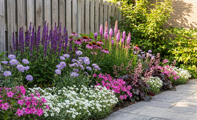 Bordürenpaket bunter Mix (3,5 m2)