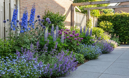 Borderpakket paars/blauw (1,5m2) - Tuinplanten
