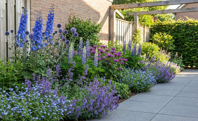 Rahmenpaket lila/blau (1,5 m2)