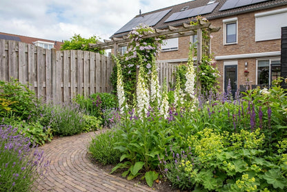 Vingerhoedskruid (Digitalis purpurea ‘Alba') - Tuinplanten