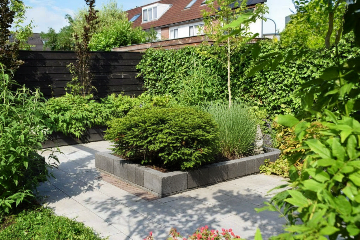 Japanse Ceder (Cryptomeria j. ‘Yokohama’) - Coniferen