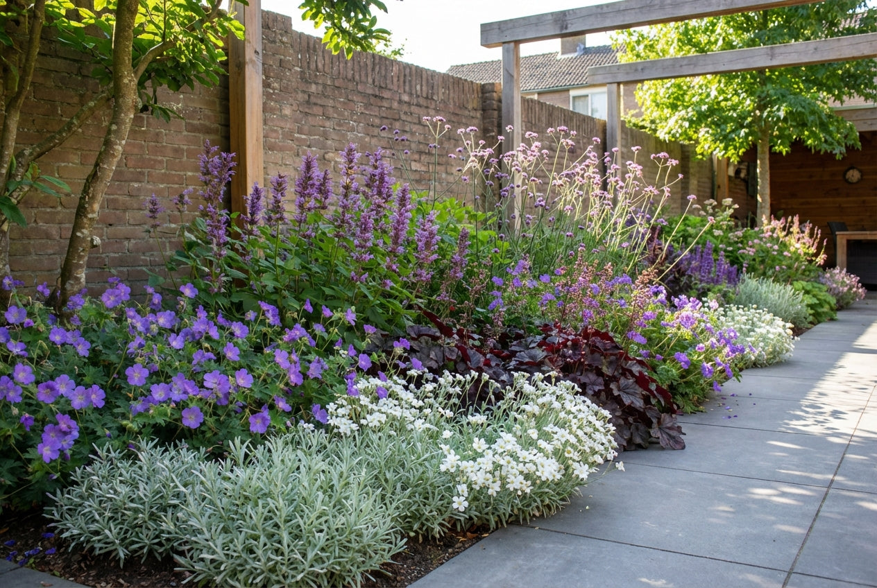 Borderpakket zeer lange bloeiers (3,5m2) - Tuinplanten
