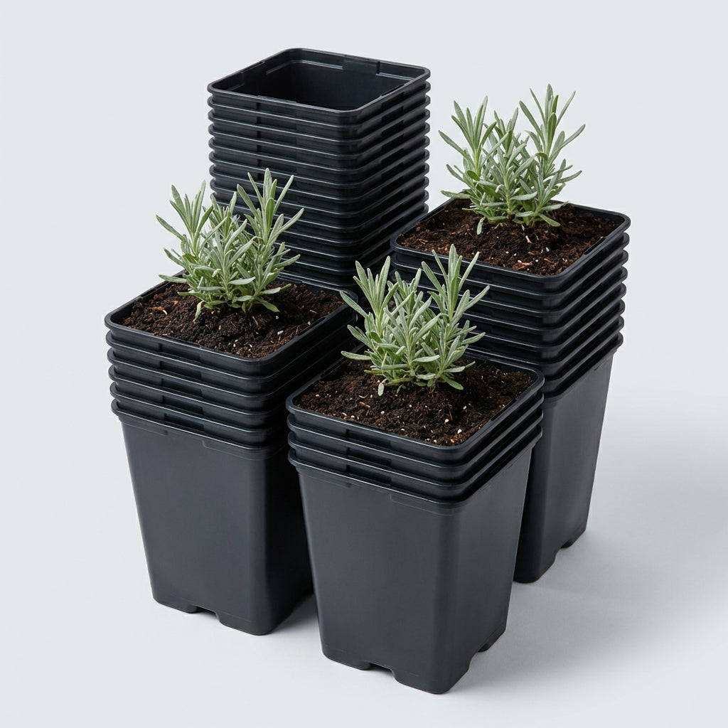 Kweekpot zwart - 9x9x10cm - Kweekbenodigdheden