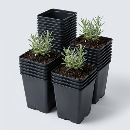 Kweekpot zwart - 9x9x10cm - Kweekbenodigdheden