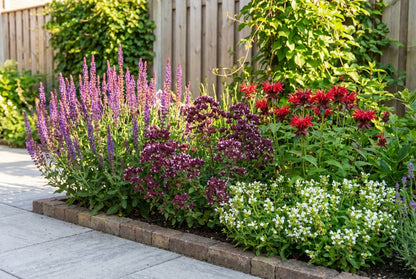 Borderpakket  fantasie (1,5m2) - Tuinplanten