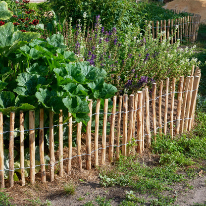 Engels schapenhek 120cm hoog - 5 meter lang - Tuinplanten