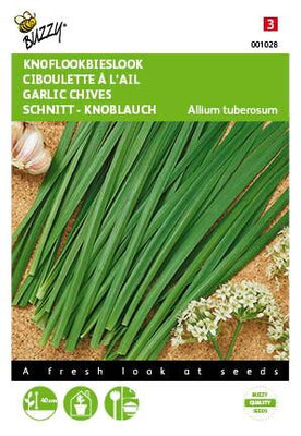 Chinesischer Knoblauch - Schnittlauch