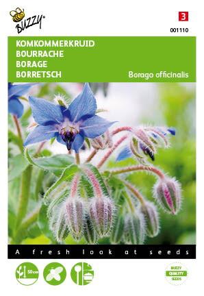 Komkommerkruid (Borage) - Zaden