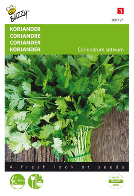 Koriander mit großen Samen