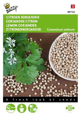 Koriander Zitrone niedrig
